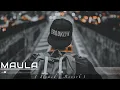 Download Lagu Ishq Bhi Kiya Re Maula Slowed+Reverb | Jism | Ali Azmat | Lofi Bollywood | #viral