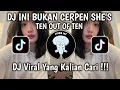 Download Lagu DJ INI BUKAN CERPEN SHE'S TEN OUT OF TEN | KASIH ABA ABA SOUND VIRAL TIKTOK 