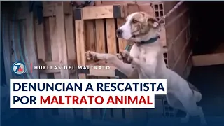 Denuncias pusieron bajo la lupa a fundación canina por presunto maltrato animal - Séptimo Día