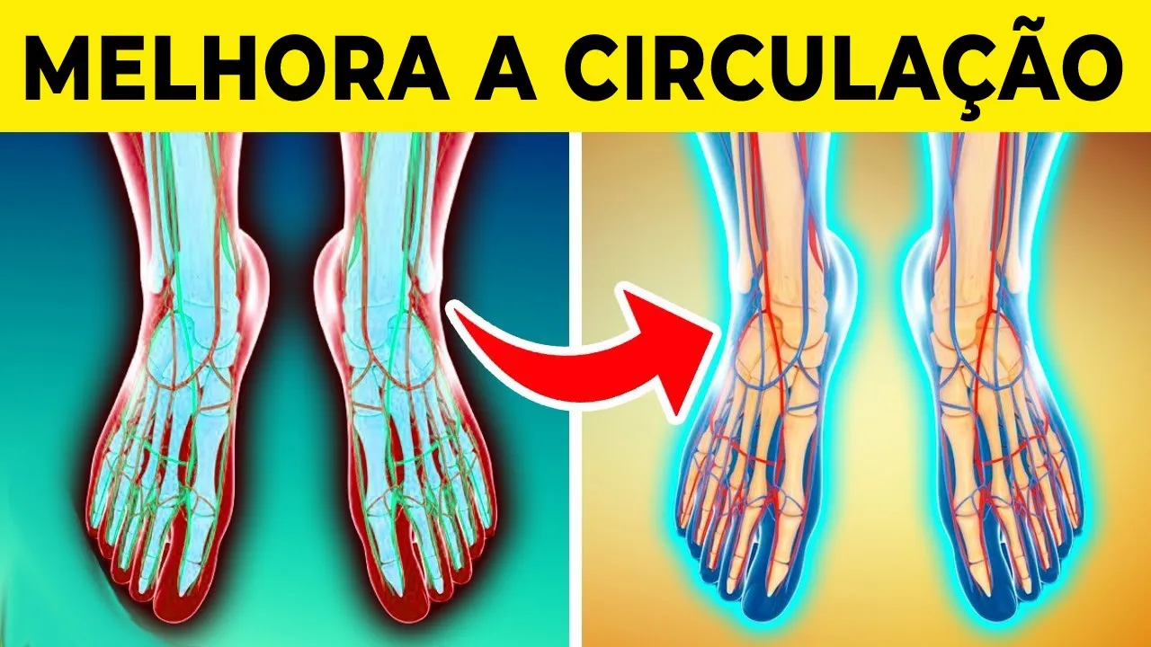 10 ALIMENTOS QUE MELHORAM A CIRCULAÇÃO NAS PERNAS
