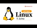 7 How to Use the Echo Command In Linux