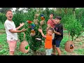 Download Lagu Di Hutan Kering Seperti Ini, Ada Banyak Banget Sarang Burung