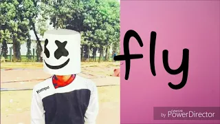 Marshmello -fly lyrics video