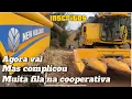 Download Lagu ✅ VOTAMOS A COLHEITA DEPOIS DE UMA SEMANA - MILHO SAFRINHA 25.🌽🌽🇧🇷