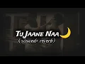 Tu Jaane Naa (Lofi Mix) 🌙 | Atif Aslam | Slowed + Reverb | Hindi Lofi