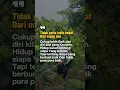 Download Lagu TERBBUKAN DARI ORANG LAIN TAPI BISA LEBIH BAIK DARI HARI KEMARIN