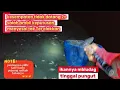 Download Lagu inilah kenapa kalo cari ikan utamakan yang spesial dulu dan jangan asal ambil [PERBANDINGAN]