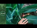 Download Lagu Eve - Who's That Girl - Andy Locker Remix