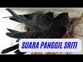 Download Lagu Suara Panggil Sriti Luar