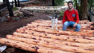 Felling and Debarking Trees for Log Cabin – Building a #tinyhouse