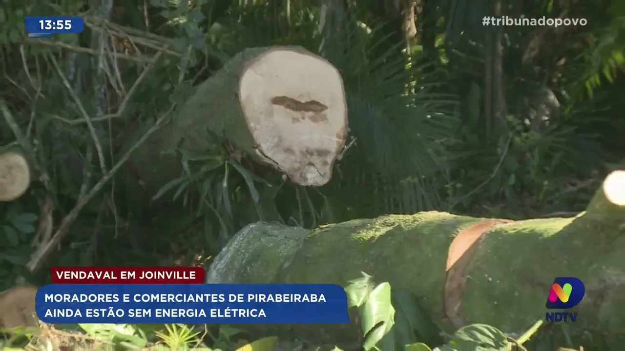Vendaval em Joinville: moradores e comerciantes de Pirabeiraba ainda estão sem energia elétrica