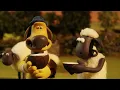 AM I THE MOTHER DUCK NOW? 🦆🐥 | Shaun the Sheep 🐑