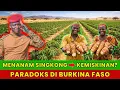 Lagu Budidaya SINGKONG di Burkina Faso: Dari \