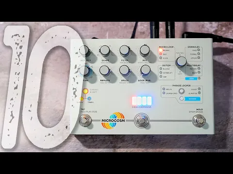 Hologram Microcosm Multi-Mode Granular Looper/Delay | Delicious Audio