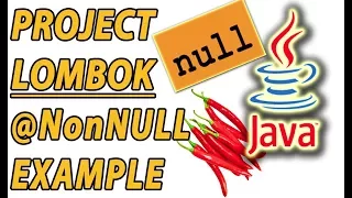 Project Lombok Java NonNull Example Part 9