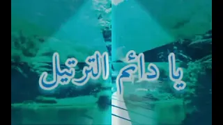 نغمة رنين يا حامل القرآن  بصوت بدر محمود دندنها