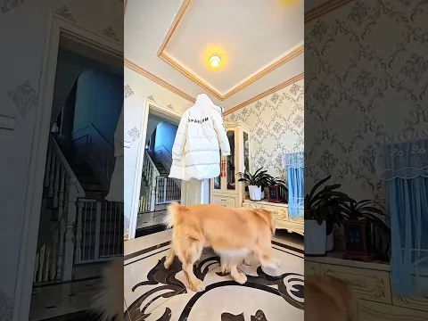 #luckygameplay