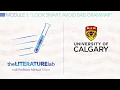 How to Avoid the Top 10 Grammar Mistakes Literature Lab Module 1