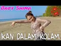 Download Lagu Baby Shima - Ikan Dalam Kolam ( Official Music Video)