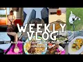 Week in my life living in Boston First Nuuly unboxing farmers market Costco haul everyday makeup
