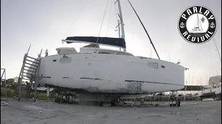 Turning a HURRICANE DAMAGED CAT white again – Episode 41