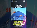 Download Lagu Dhamma Chakra Pravartan Din Coming soon status Dr Babasaheb Ambedkar Status Jai Bhim status #shorts