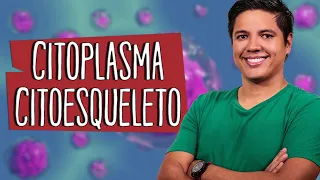 CITOPLASMA - ORGANELAS  - Introdução e Citoesqueleto  - Prof. Kennedy Ramos