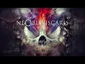 Ne Obliviscaris - As Icicles Fall (HD)