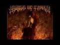 Download Lagu Cradle of Filth - Nymphetamine [Full Album Bonus Song]