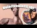 The Mexican Hairless Xolo Dogs A Journey into Ancient Canine History