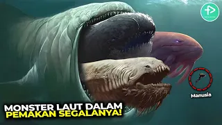 Download Megalodon Menciut Jika Ketemu Makhluk Ini! Monster Penghuni Laut Dalam yang Sangat Mengerikan MP3