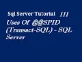 Uses Of SPID in Sql Server