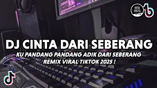 dj cinta dari seberang viral tiktok dj ku pandang pandang adik dari seberang remix terbaru 2025