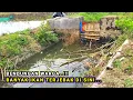 Lagu ISTIMEWA‼️2X KE SPOT INI SELALU PANEN STRAIKE #mancing #fisherman