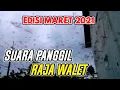 SUARA PANGGIL RAJA WALET TERBAIK
