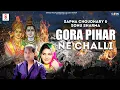 Download Lagu Gora Pihar Nu Challi | Sapna Choudhary | Sonu Sharma Jalalpuriya | Gajabn