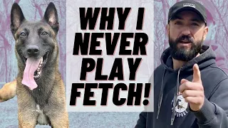 Download WHY I NEVER PLAY FETCH! I DO THIS INSTEAD! BELGIAN MALINOIS TRAINING! MP3