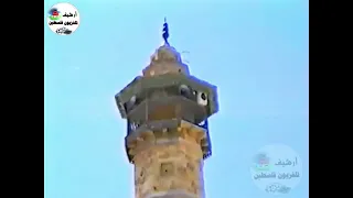 أغنية ضمينا يا أرضي .. من ارشيف التلفزيون الفلسطيني 1995م