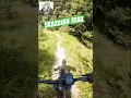 Lagu Another #short #mtb video of the #Brazilian #Trail in #Wallis #Switzerland