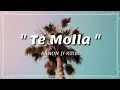 Te mola remix song