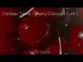 Cocteau Twins - Cherry Coloured Funk || (lyrics & subtitulos/letra español)