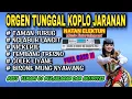 Download Lagu ORGEN TUNGGAL KOPLO JARANAN | COVER NATAN ELEKTUNE❗Taman jurug, Nglabur langit, Nickerie