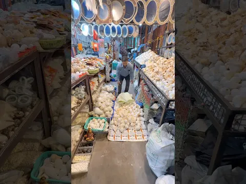 पंडित जी ने बतायी समुंदर से निकले असली शंख की पहचान 😱