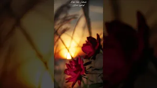 توفيق شكران عود صعبان عليا جفاك 