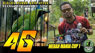 Download 4G Burung Cucak Ijo Mewah Gaya Hyper Asal Banyuwangi Muncar MP3