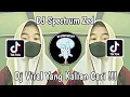 Download Lagu DJ SPECTRUM ZED VIRAL TOK TOK TERBARU 2023 YANG KALIAN CARI