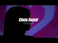 Download Lagu Bunga Citra Lestari - Cinta Sejati (Speed up)