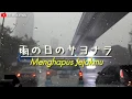 Download Lagu Menghapus Jejakmu ( Peterpan ) Versi Jepang | Cover  ( Official video Lirik )