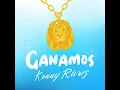 GANAMOS (LA BATALLA)