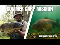Download Lagu Summer Carp VS the Deadly Noodle Rig | Max Whitehall reveals effective hot weather tactics!